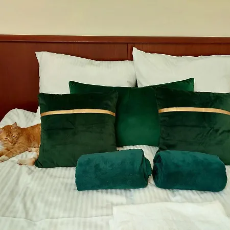 Quarto em Acomodações Particulares Forrest Style Goscinne