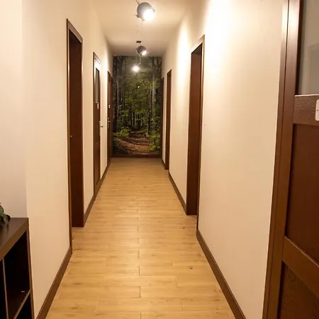 Forrest Style Goscinne Homestay