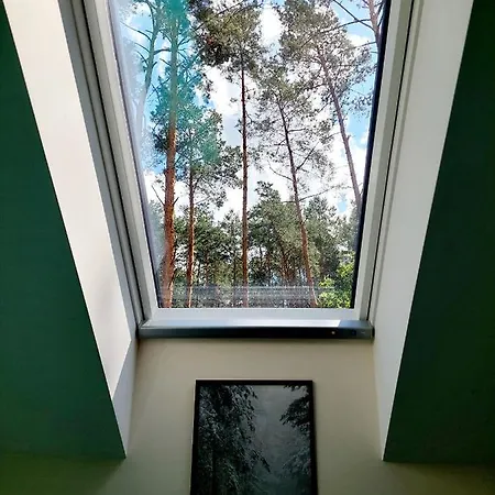 Homestay Forrest Style Goscinne