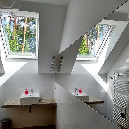 Forrest Style Goscinne Pansiyon