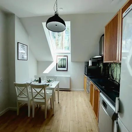 Pansiyon Forrest Style Goscinne *