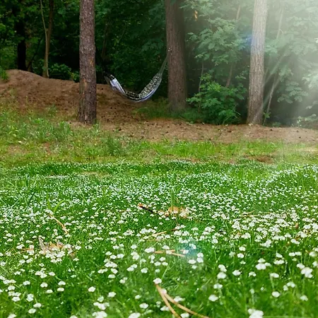 Forrest Style Goscinne Quarto em Acomodações Particulares *